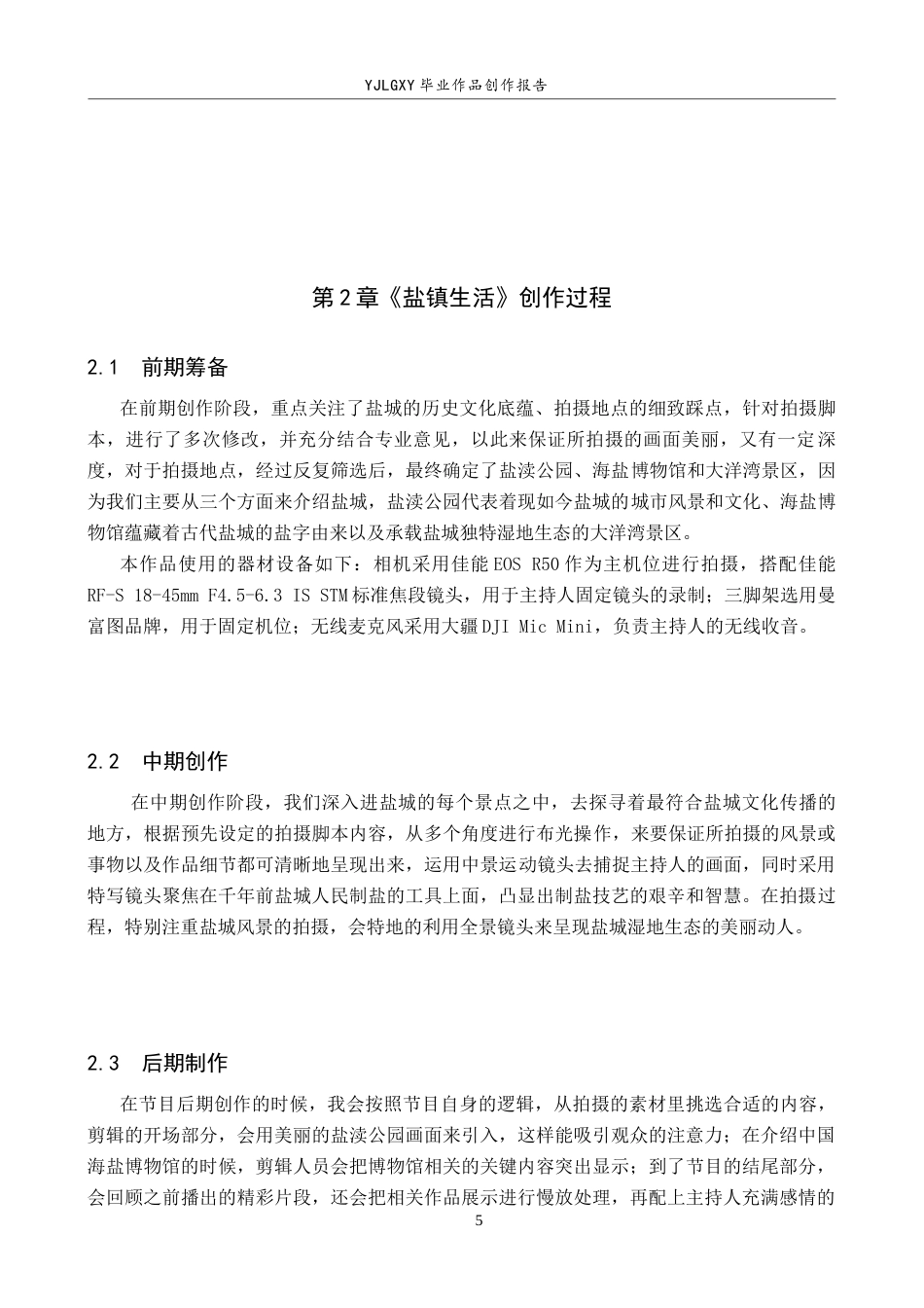 26年WP播音与主持艺术 毕业作品《盐镇生活》中主持人出镜语言表达技巧阐述8.23-AI11.99(15573字).docx_第7页