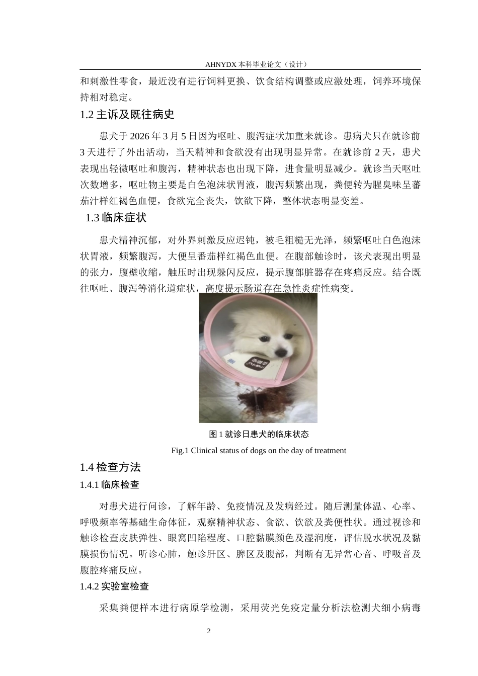 26年WP动物医学 一例幼犬细小病毒性肠炎的临床诊疗分析9.49-AI通过_1(7682字).docx_第5页