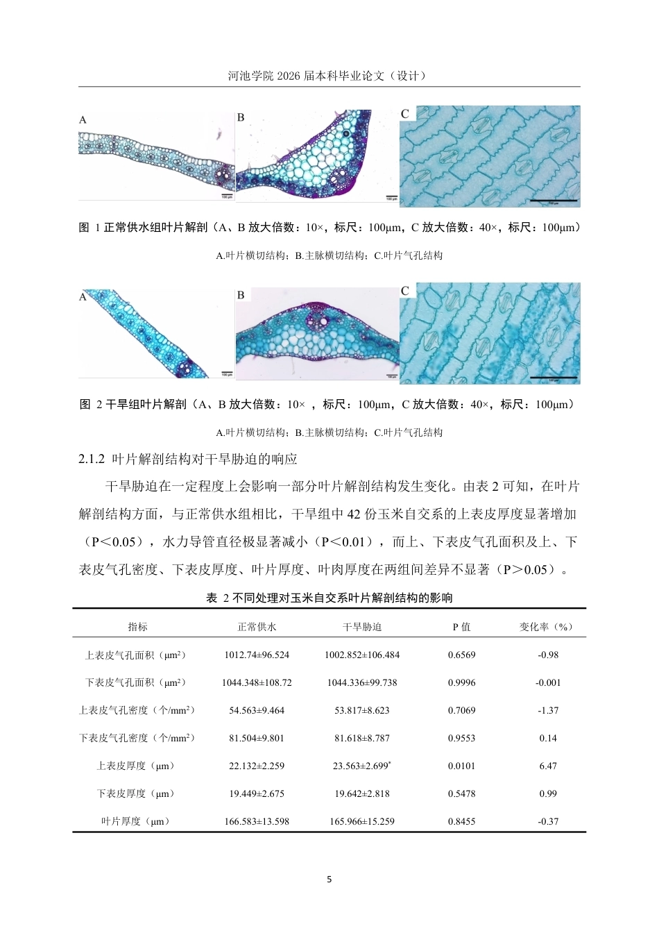 26年WH生物科学 不同水分条件下玉米解剖结构与农艺性状的差异及其相关性研究15.41-AI0.81-约16726字符.pdf_第8页