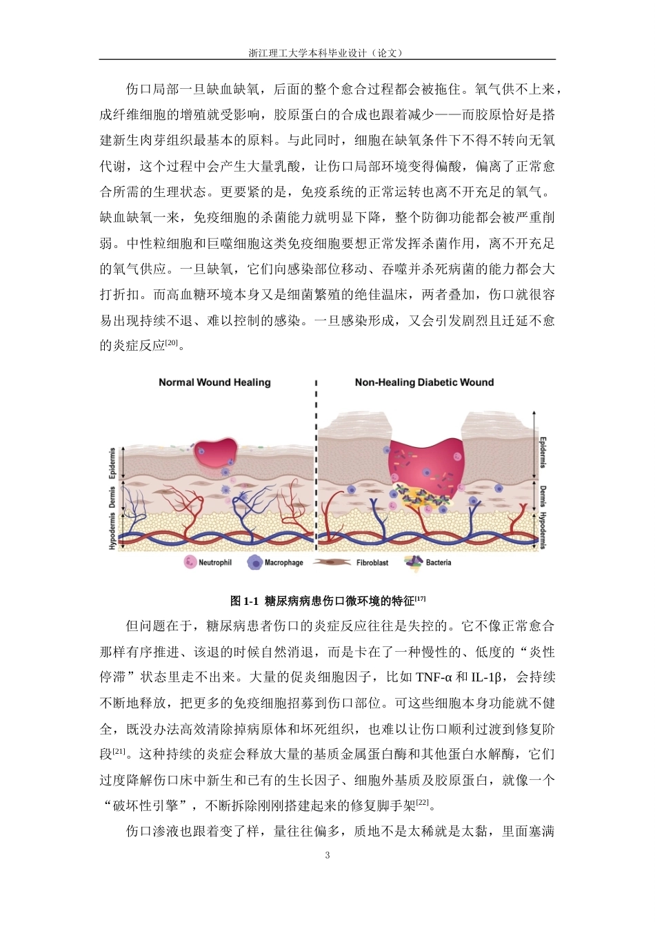 26年WP 材料科学与工程 MIL-88B二甲双胍复合材料的构建及其降解释药性能研究-最终稿 (45766字).docx_第8页