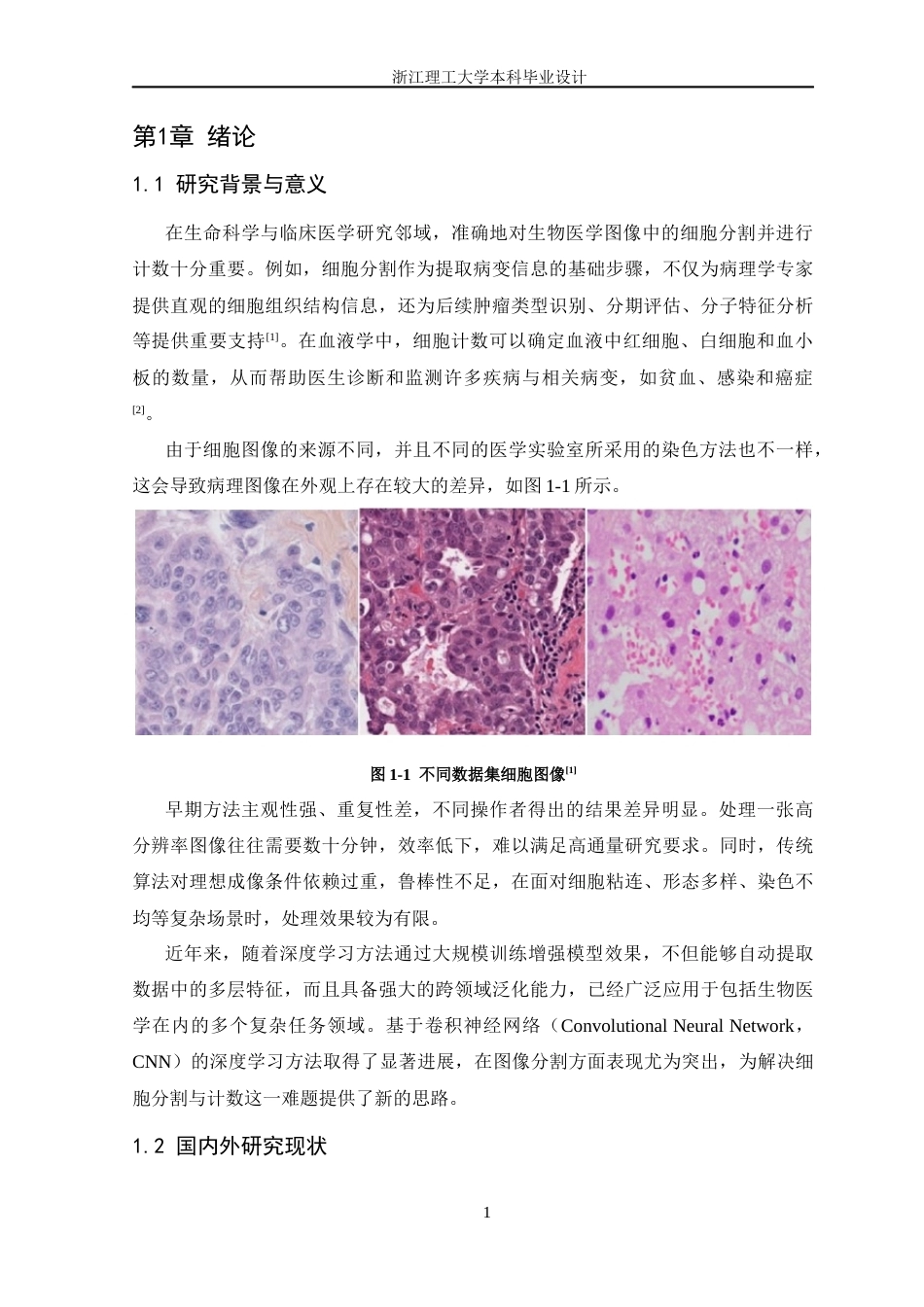 26年WP 基于U-Net网络的生物医学图像细胞分割与计数系统最终稿(24336字).docx_第7页