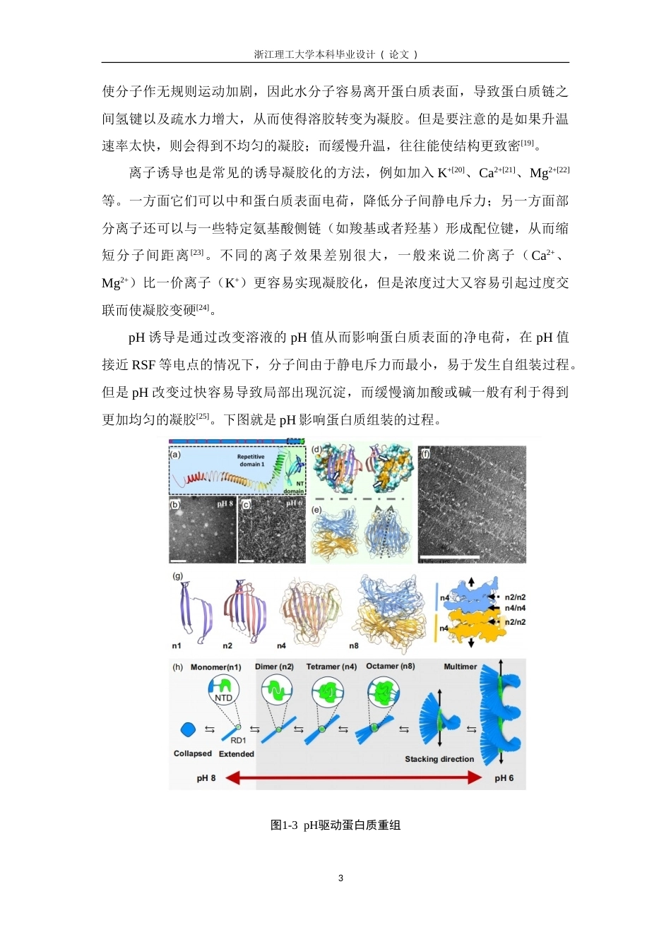 26年WP 再生丝素蛋白材料理化性质分析及其凝胶化调控的研究(18323字).doc_第10页