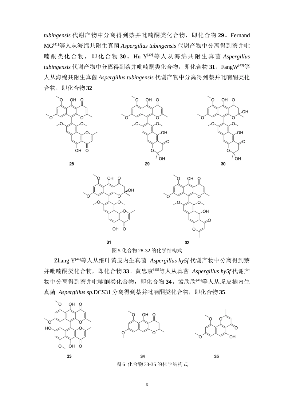 26年WP药物分析 《海洋来源真菌Aspergillus tubingensis化学成分的分离与鉴定》19.76-AI14.61(14327字).docx_第10页