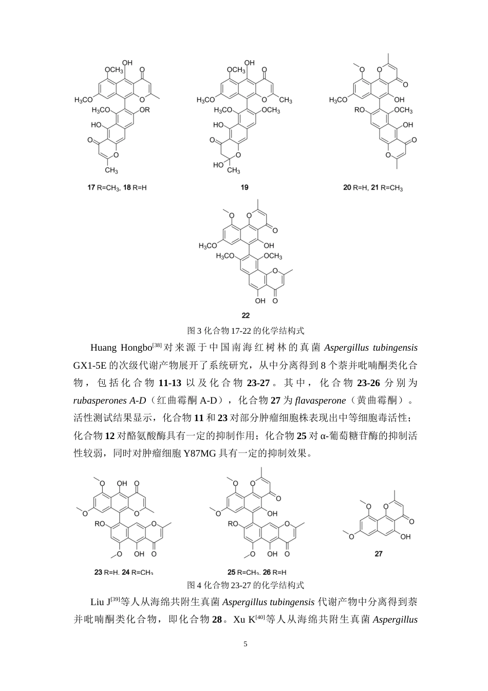 26年WP药物分析 《海洋来源真菌Aspergillus tubingensis化学成分的分离与鉴定》19.76-AI14.61(14327字).docx_第9页
