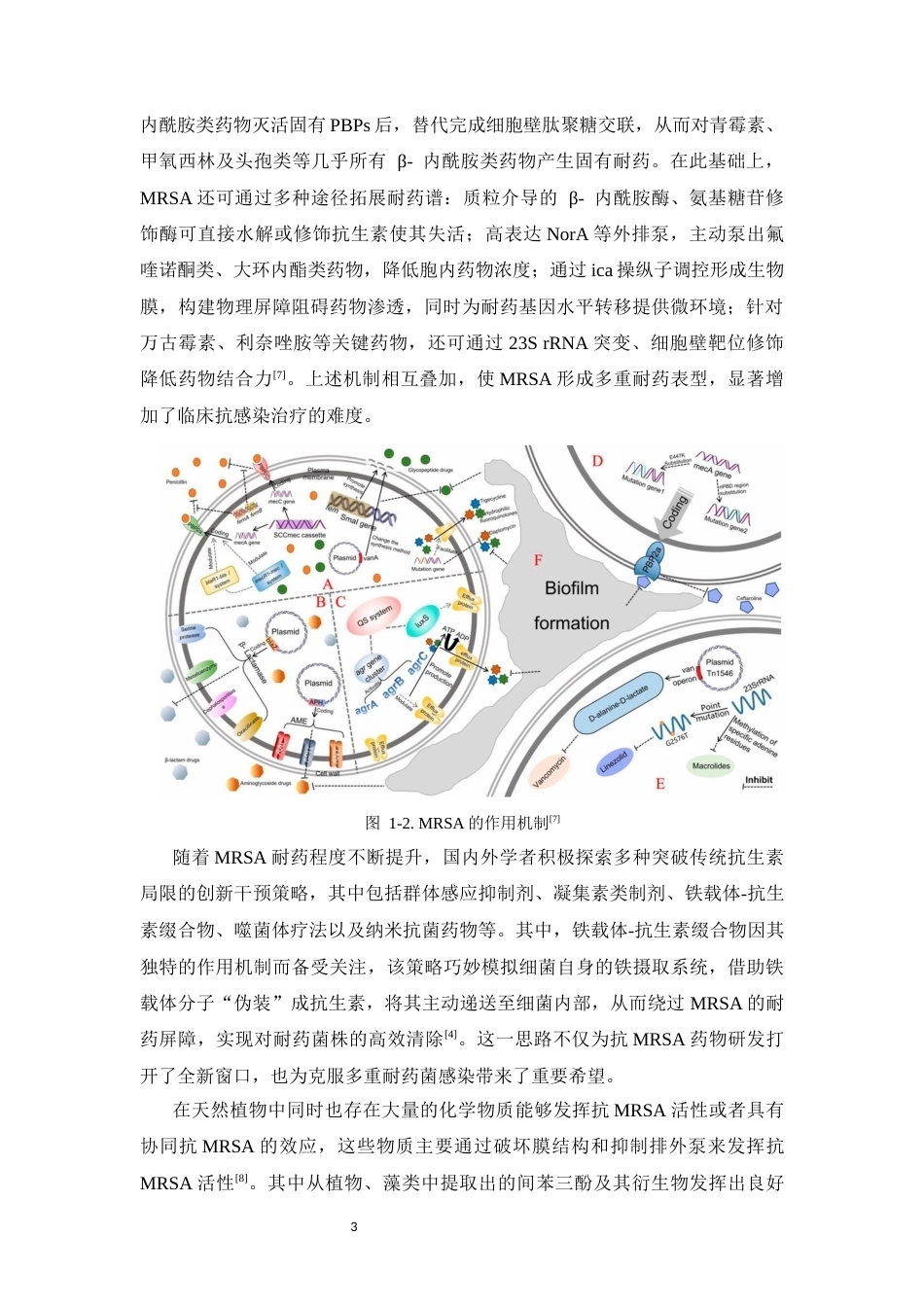 26年WP药物制剂 基于特洛伊木马策略的间苯三酚偶联物的合成9.91-AI46.46(11422字).docx_第9页