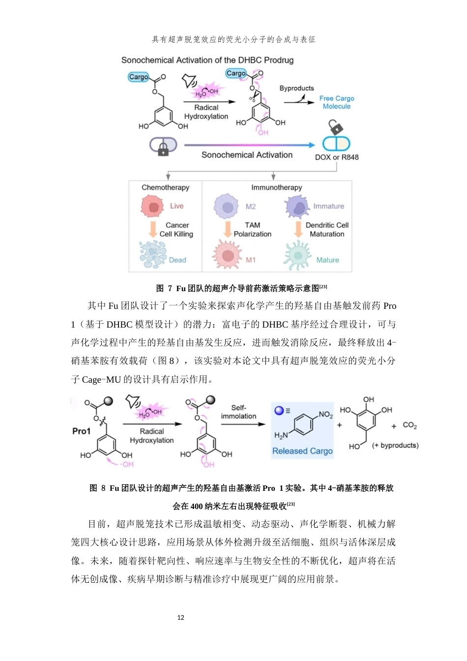 26年WP 具有超声脱笼效应的荧光小分子的合成及表征最终稿(11319字).docx_第10页