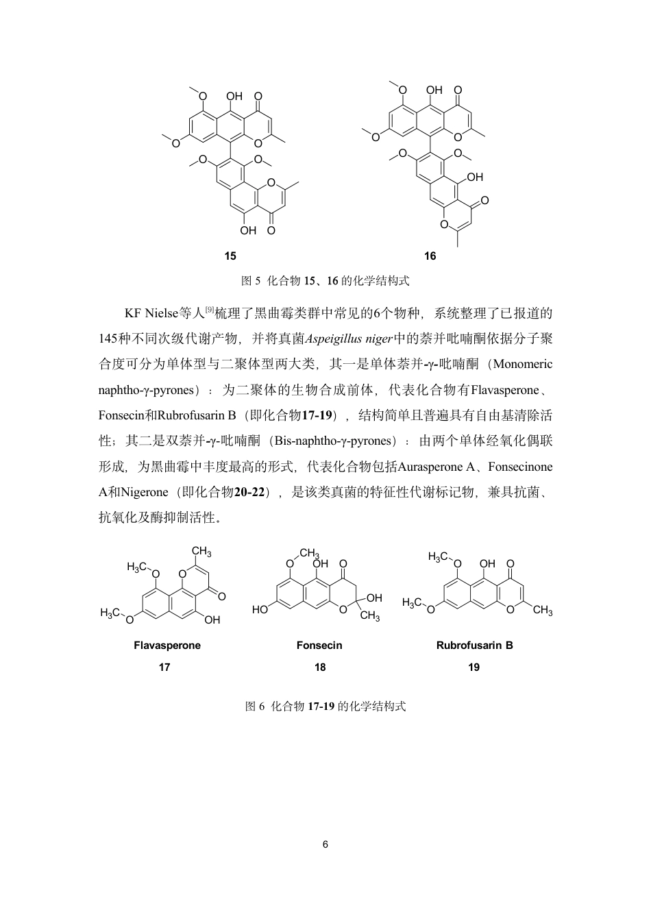 26年WP药物分析 海洋来源真菌黑曲霉Aspergillus niger化学成分的分离与鉴定19.89-AI-约19215字符.pdf_第10页