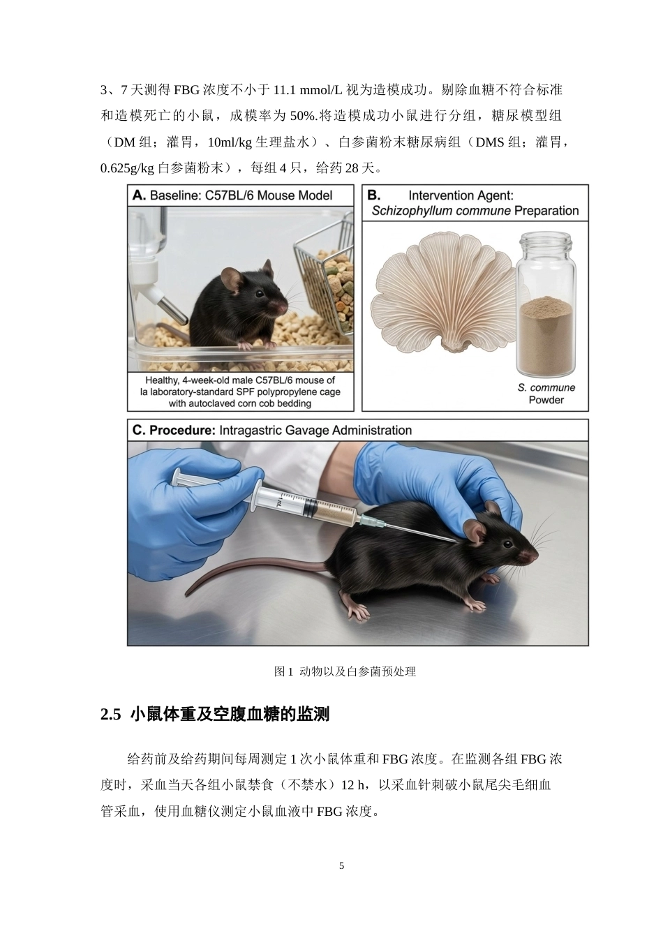 26年WP药学 白参菌通过调节肠道菌群改善2型糖尿病小鼠代谢紊乱的作用研究17.6-AI(8161字).docx_第10页