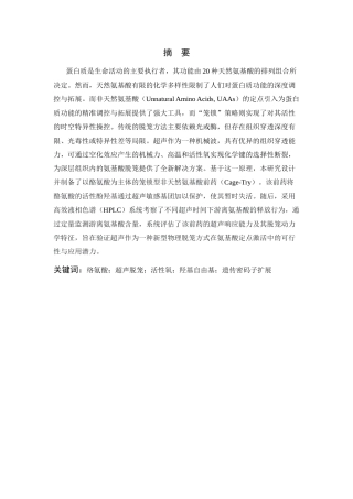 26年WP 具有超声脱笼效应的非天然氨基酸的合成及表征最终稿(13881字).docx