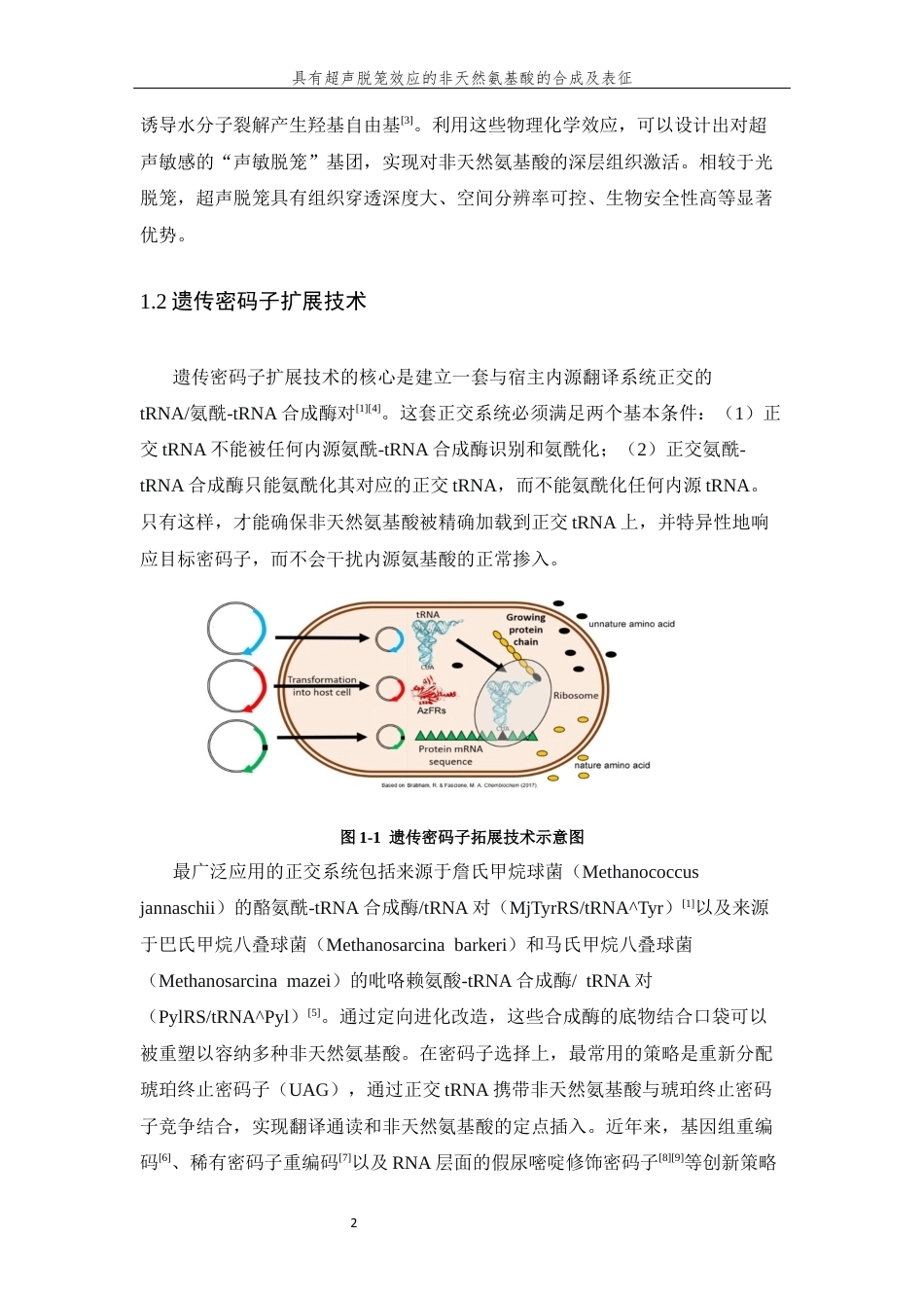 26年WP 具有超声脱笼效应的非天然氨基酸的合成及表征最终稿(13881字).docx_第6页