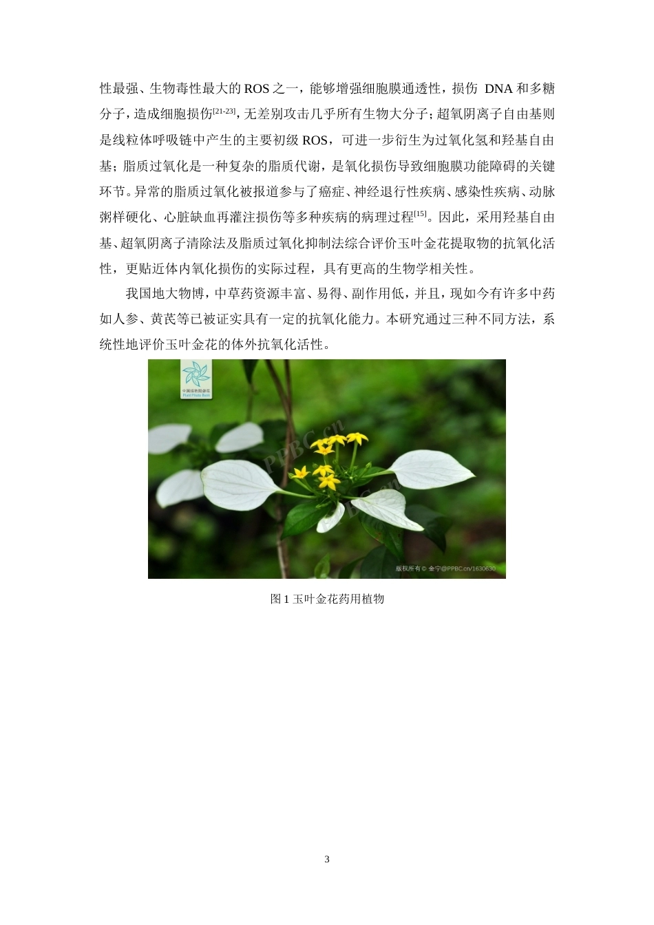 26年WP中药学 玉叶金花乙酸乙酯提取物体外抗氧化活性研究13.03-AI(9639字).doc_第10页