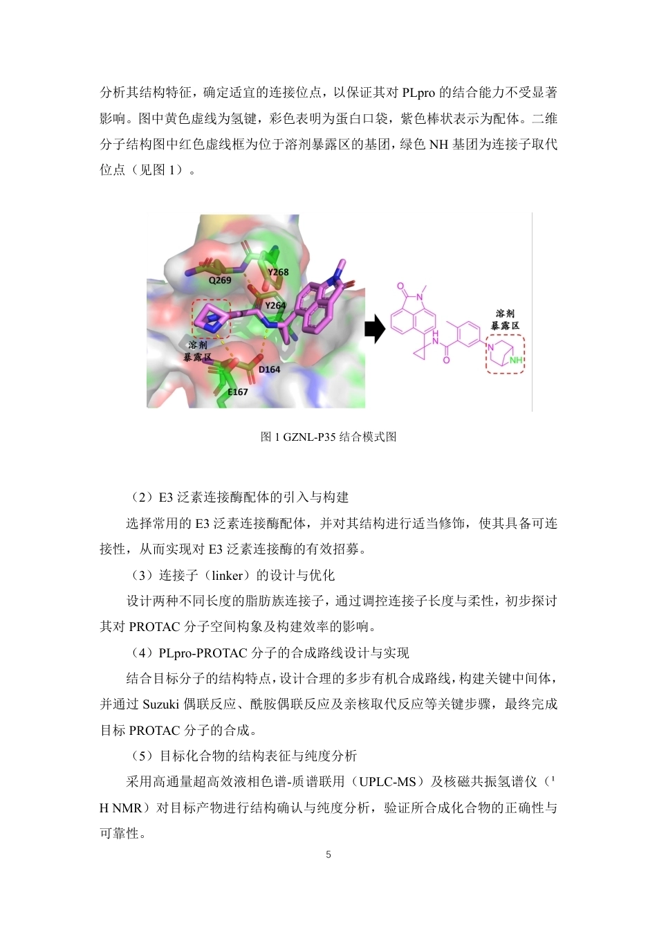 26年WP药物分析 基于PLpro-PROTAC的药物分子设计及合成21.26-AI-约16407字符.pdf_第10页