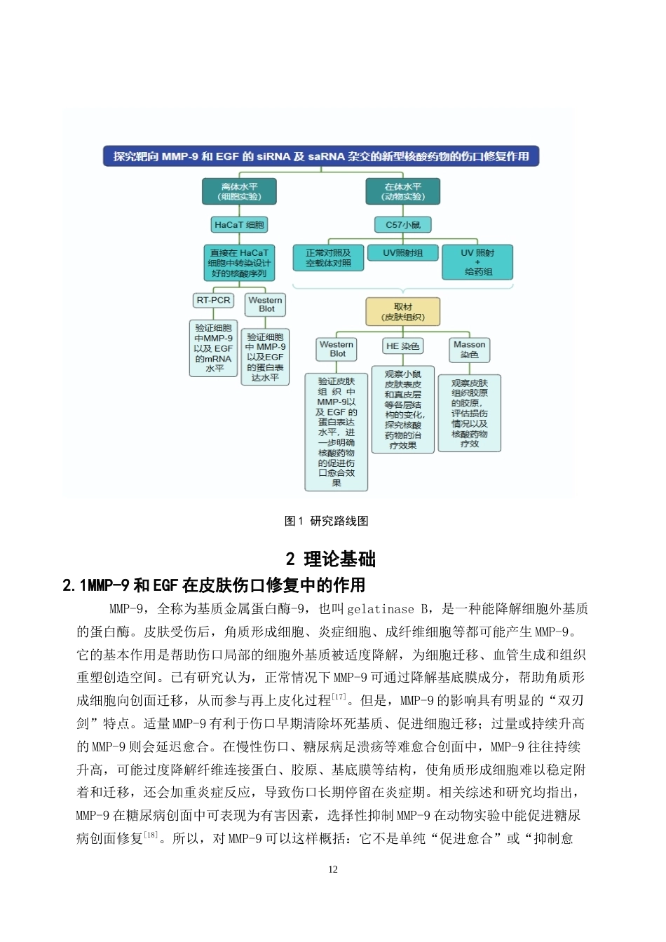 26年WP药物分析 基于双靶点调控的核酸药物在皮肤创伤修复中的研究9.49-AI(13029字).docx_第10页