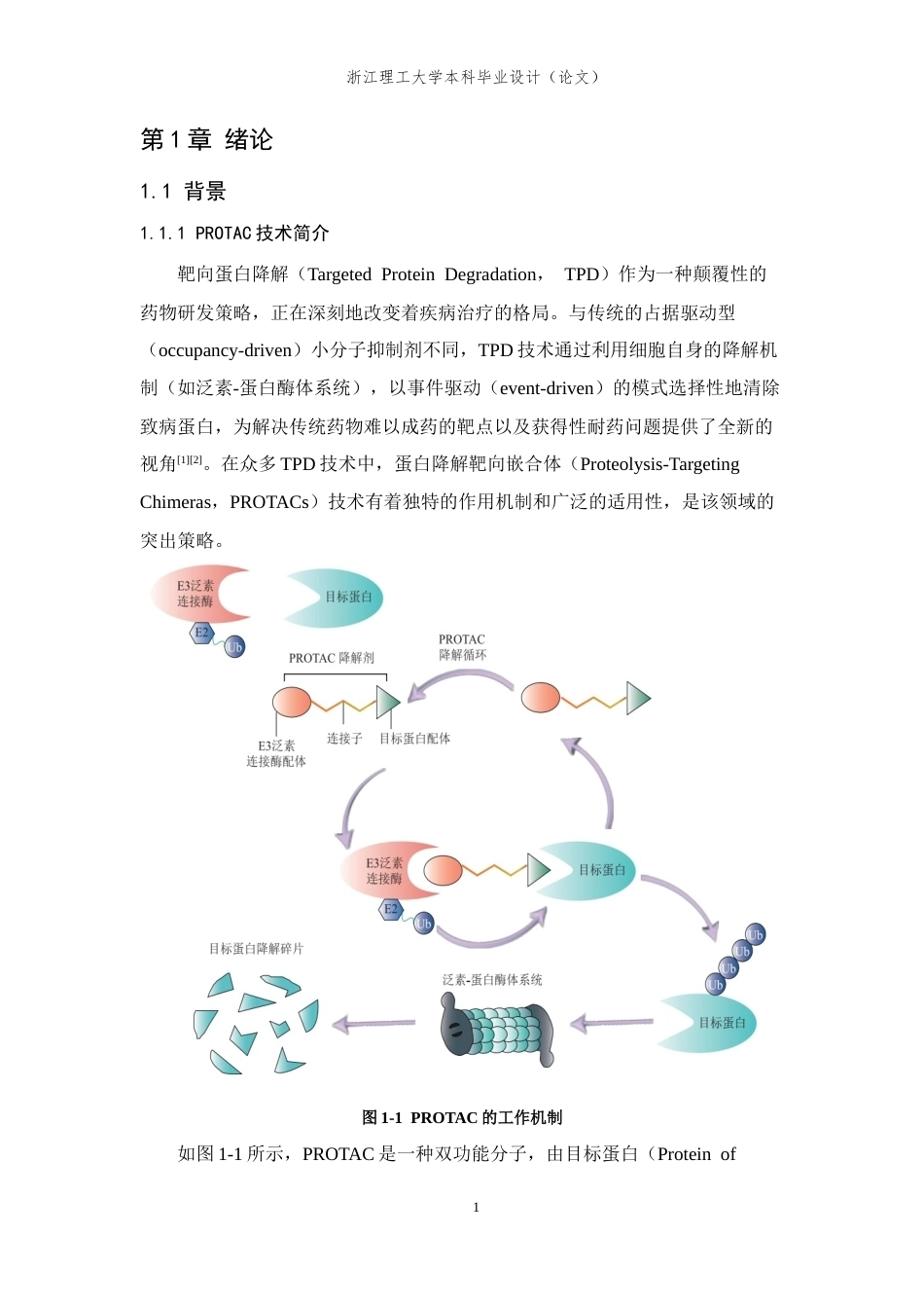 26年WP 靶向核酶降解的新型PROTAC活性小分子合成与表征最终稿(12439字).docx_第6页