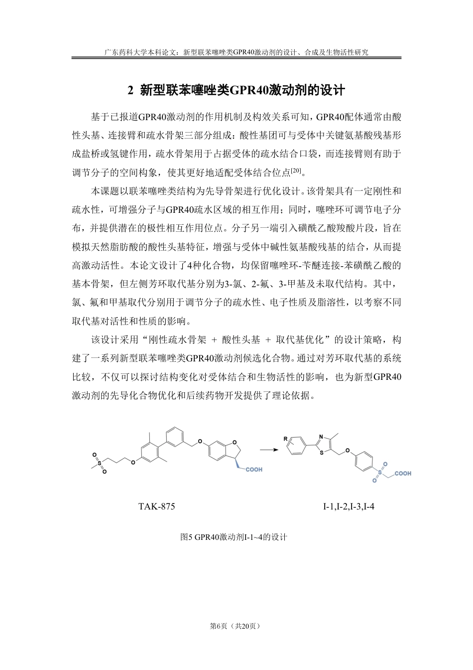 26年WP药物分析 新型联苯噻唑类GPR40激动剂的设计、合成及生物活性研究25.58-AI-约14519字符.pdf_第10页
