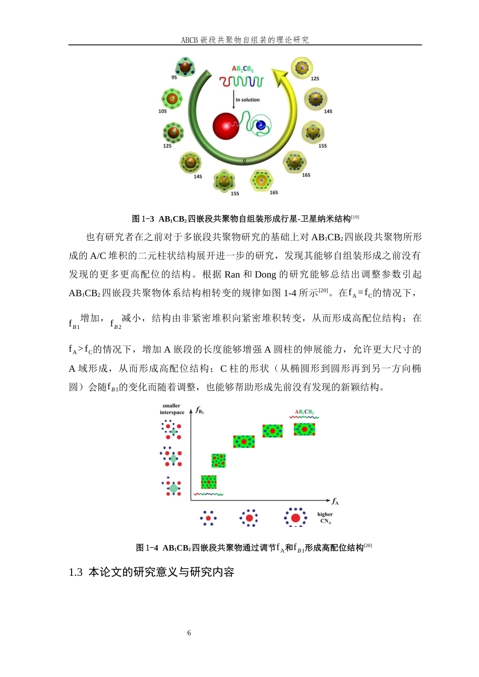 26年WP 嵌段共聚物自组装的理论研究最终稿(12798字).docx_第9页