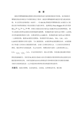 26年WP 嵌段共聚物自组装的理论研究最终稿(12798字).docx