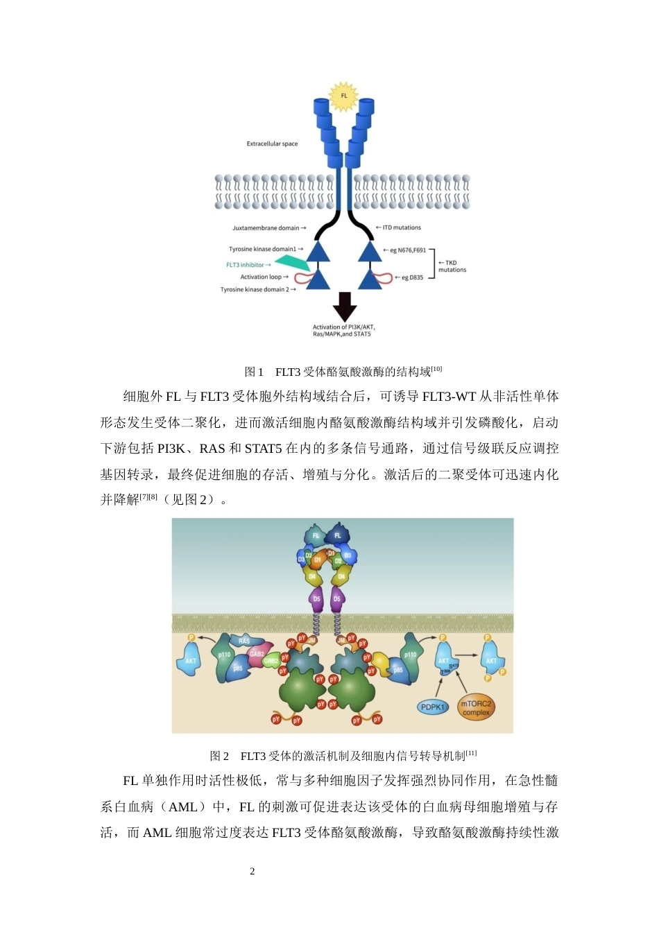 26年WP药物制剂 咪唑并吡啶类FLT3抑制剂的设计与合成研究18.69-AI20.26(14573字).docx_第8页