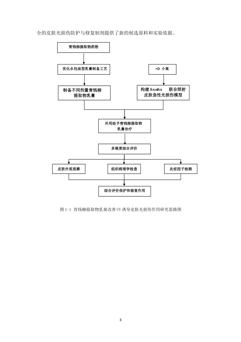 26年WP中药学 青钱柳提取物改善UV诱导皮肤光损伤的作用研究16.5-AI48.83(9590字).docx_第10页