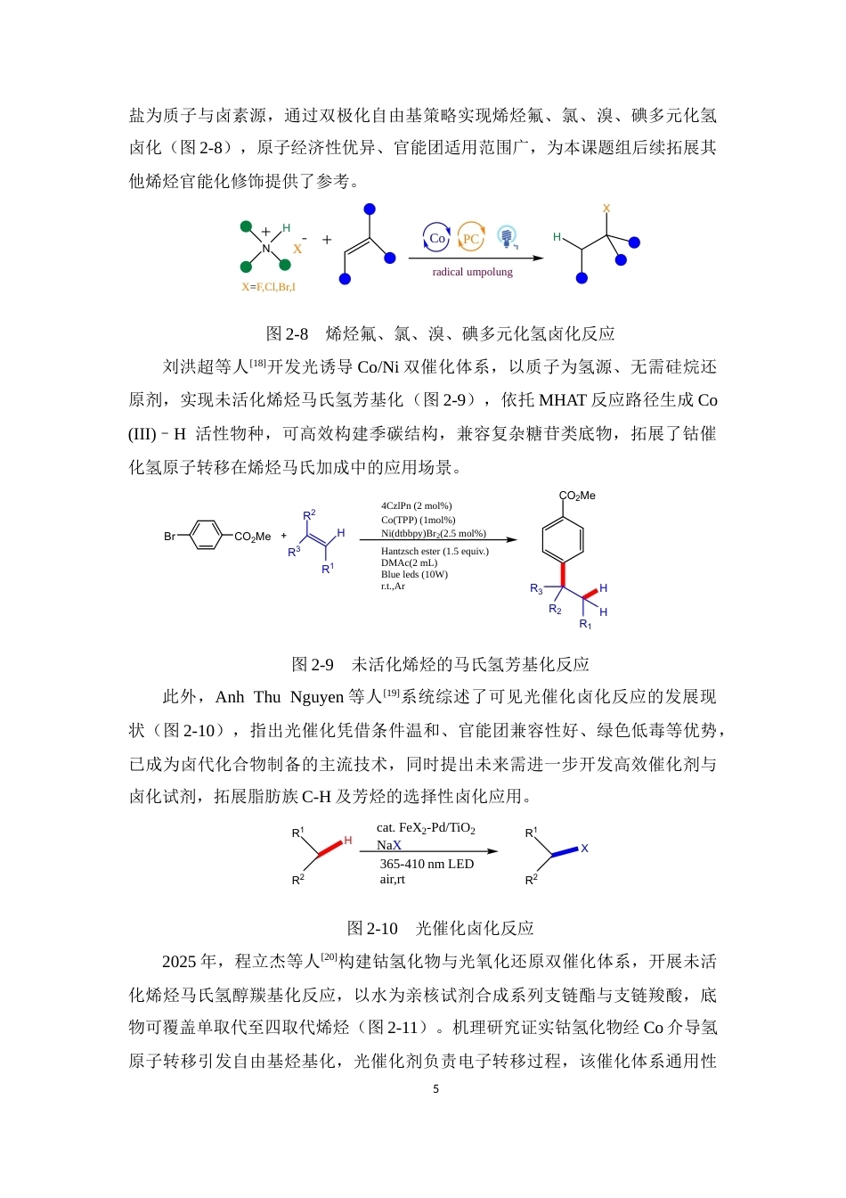 26年WP 烯烃的马氏氢卤化反应最终稿(12213字).docx_第10页