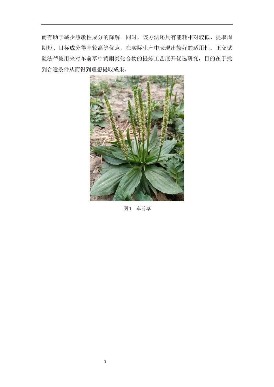 26年WP制药工程 车前草总黄酮提取工艺优化研究16.15-AI(8738字).docx_第8页
