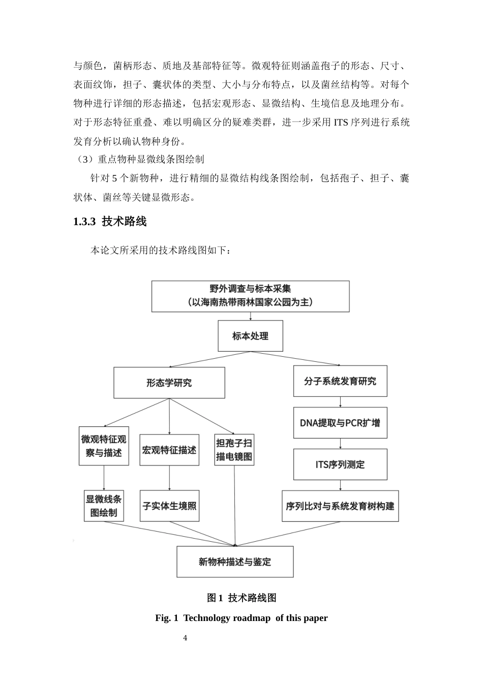 26年WH生物科学 海南省红菇属5个新物种的分类学研究定稿-全日(16180字).docx_第8页