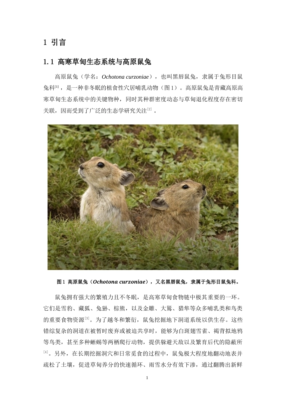 26年WH生物科学 高原鼠兔个体计数与洞口计数的季节性变化研究（最终稿）定稿-全日(13264字).docx_第6页