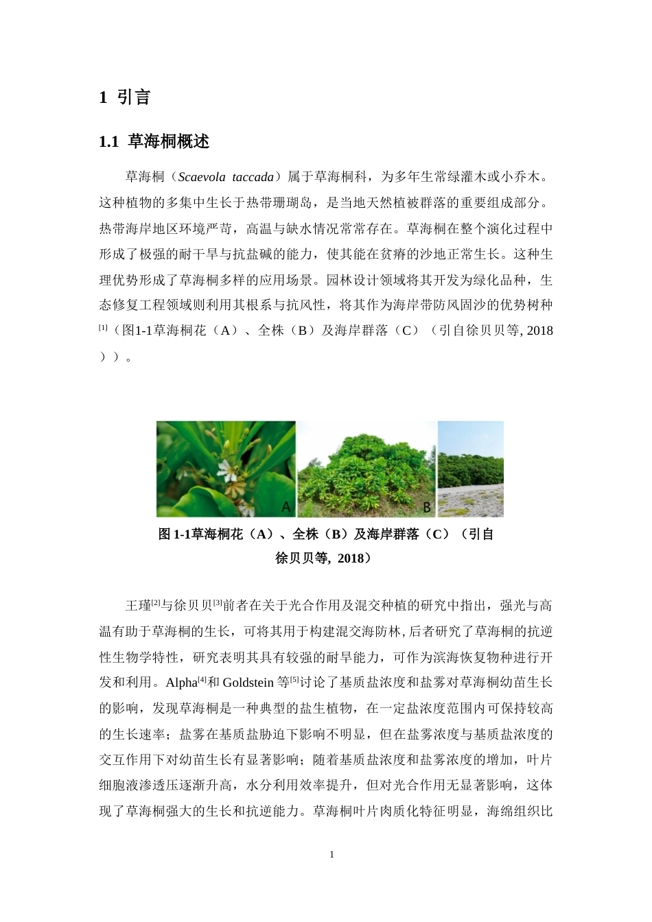 26年WH生物科学 野外种植草海桐适应盐雾胁迫的形态-显微结构及钠离子测定研究定稿-全日(9653字).docx_第6页