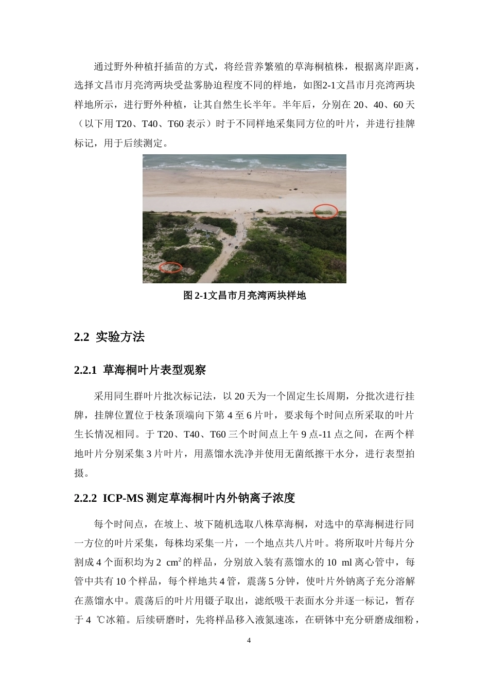 26年WH生物科学 野外种植草海桐适应盐雾胁迫的形态-显微结构及钠离子测定研究定稿-全日(9653字).docx_第9页