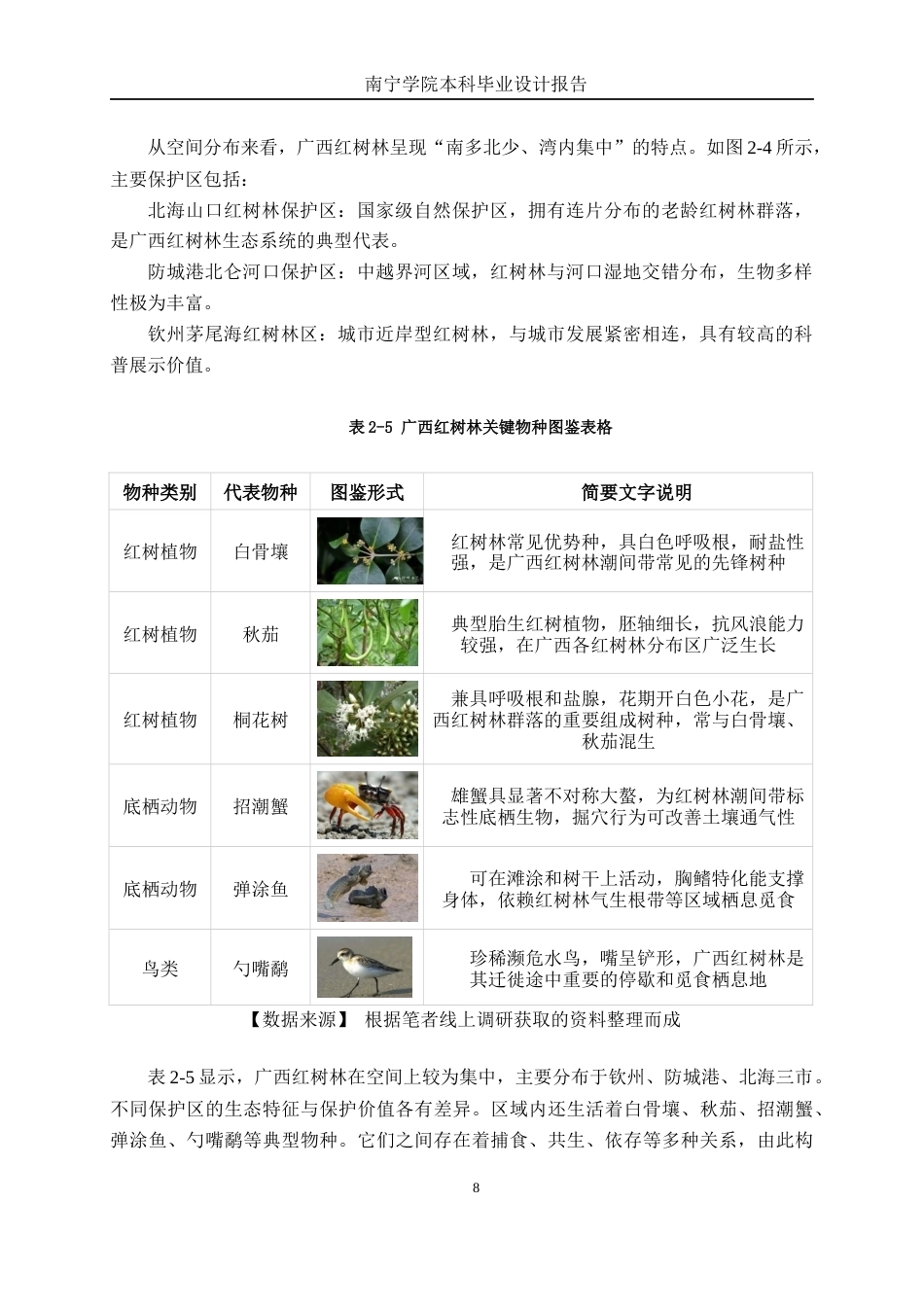 26年CH视觉传达 广西红树林生态系统信息可视化设计(9884字).docx_第9页