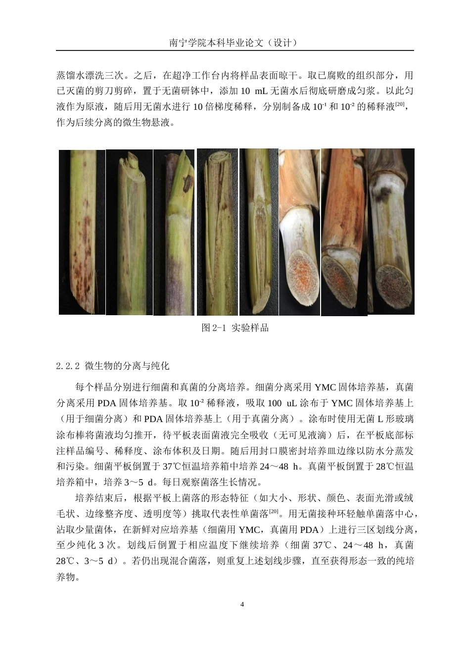 26年CH食品质量与安全 甘蔗尾梢微生物的分离、纯化和鉴定全日制终稿(16550字).docx_第8页
