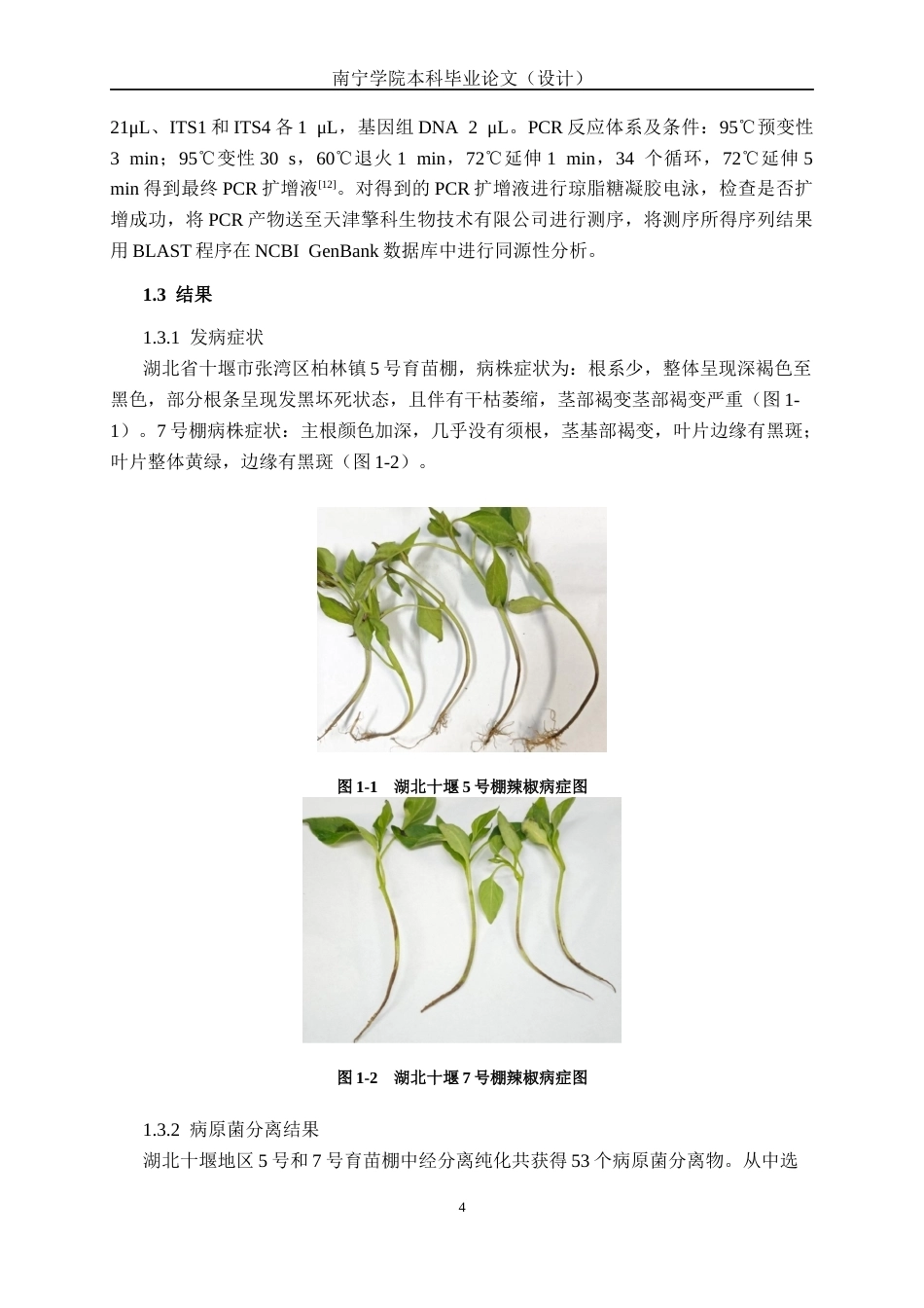 26年CH食品质量与安全 益生菌GP34耐药性适配性防病效果研究(10836字).docx_第8页