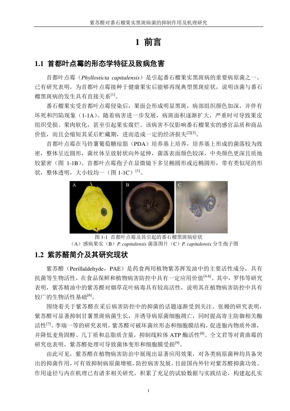 26年CH食品科学 紫苏醛对番石榴果实黑斑病菌的抑制作用及机理研究-终稿全日制-约15899字符.pdf_第4页
