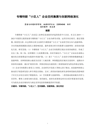 26年CH地理科学 专精特新“小巨人”企业空间集聚与创新网络演-终稿全-约23333字符.pdf