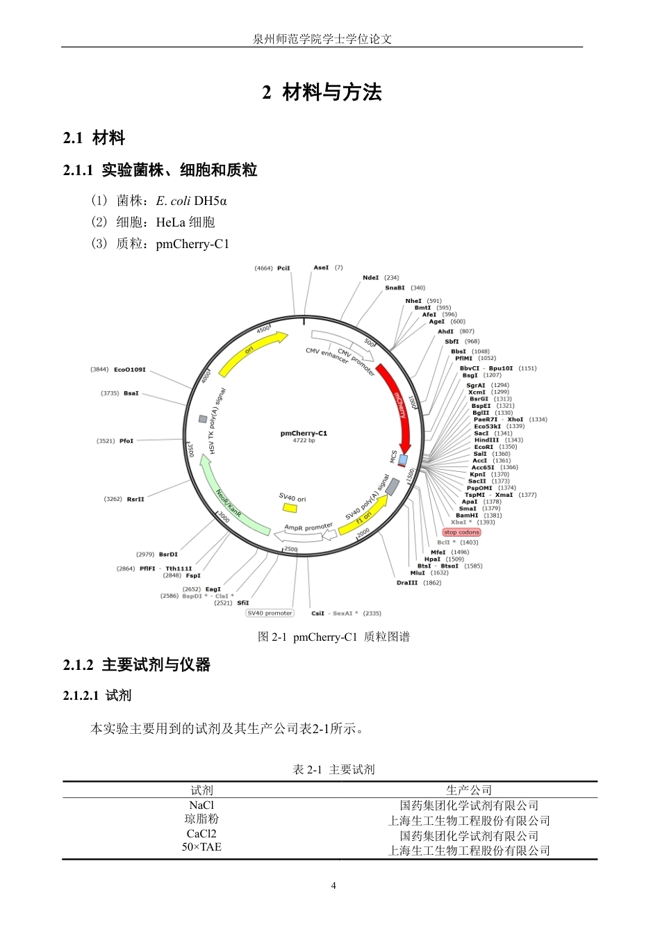 26年CH生物科学 人溶酶体蛋白RILP基因真核表达载体的构建-终稿全日制-约15057字符.pdf_第8页