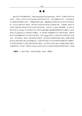 26年CH生物科学 人溶酶体蛋白RILP基因真核表达载体的构建-终稿全日制-约15057字符.pdf
