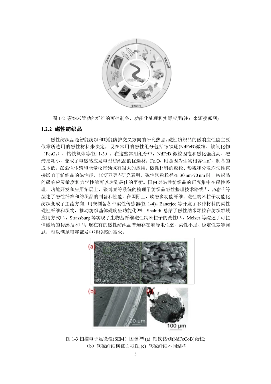 26年CH纺织工程 基于碳纳米管的磁性纺织品的制备与性能研究纺织与服装-终稿全日制-约16032字符.pdf_第6页
