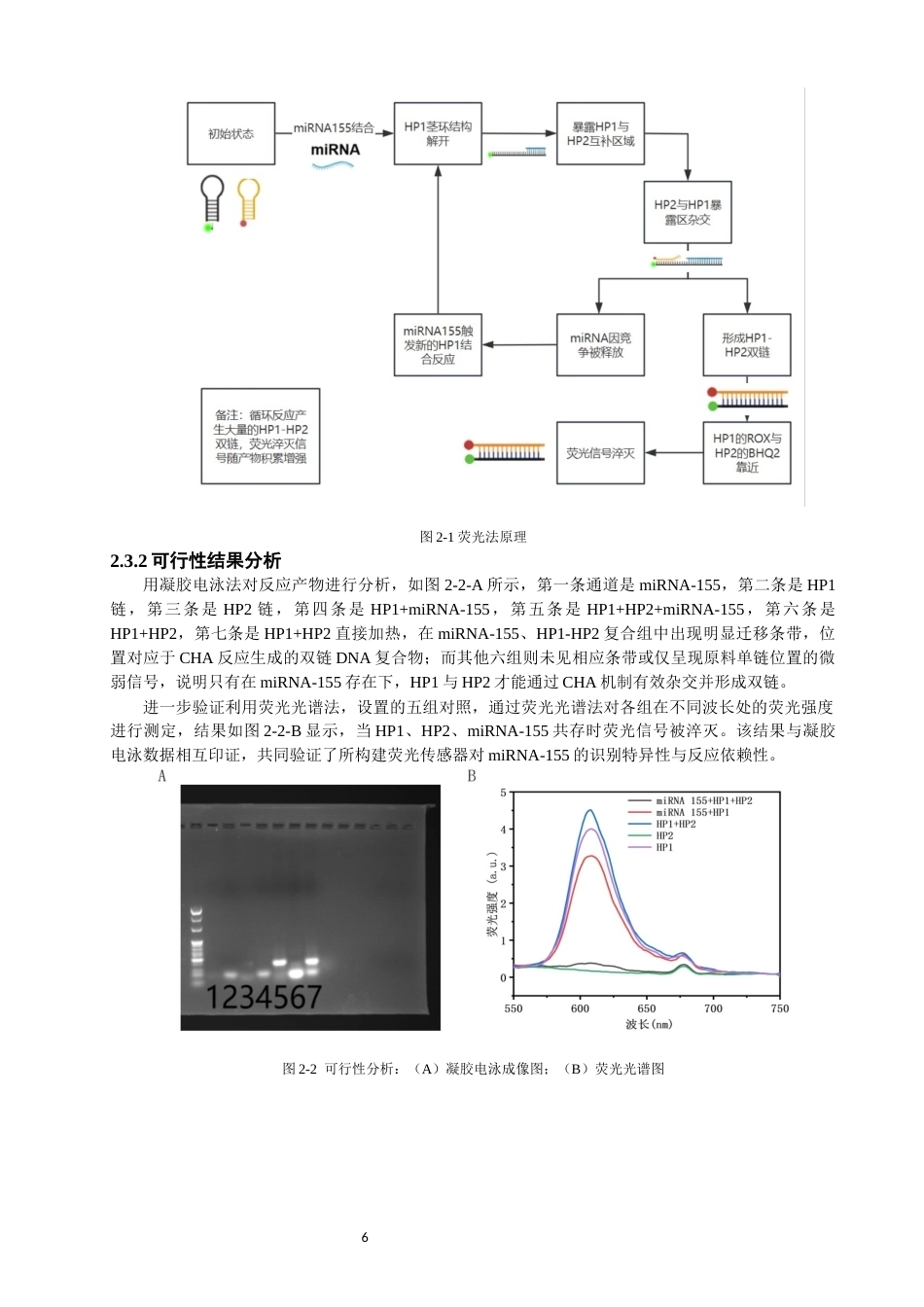 26年CH光电信息科学 基于CHA荧光传感技术的MiRNA155检测及其在肺癌早期诊断中的应用 终稿全(10177字).docx_第9页