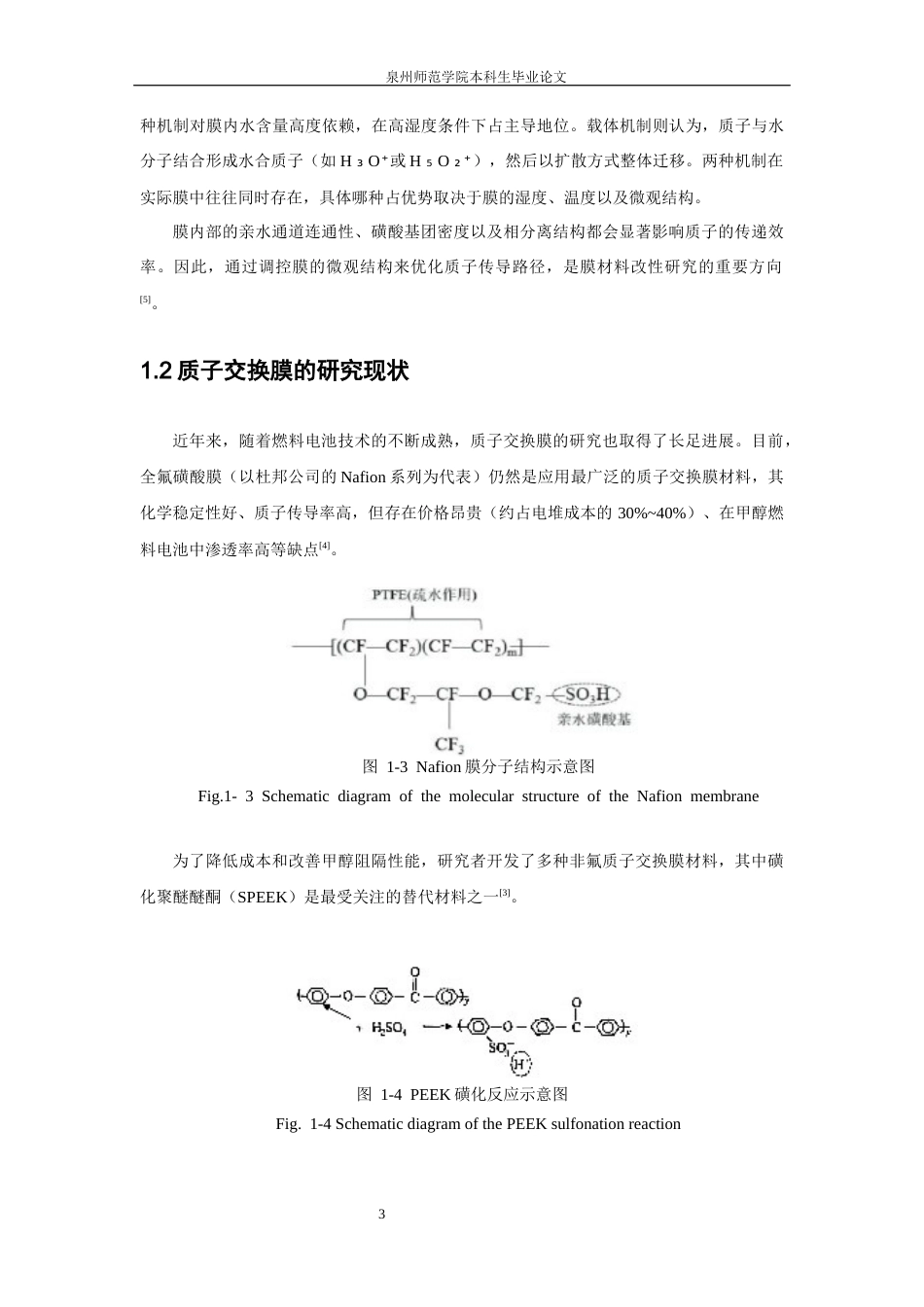 26年CH化学工程与工艺 关键词：磺化聚醚醚酮；聚偏氟乙烯；二氧化锆；质子交换膜；燃料电池-终稿全(15437字).docx_第10页