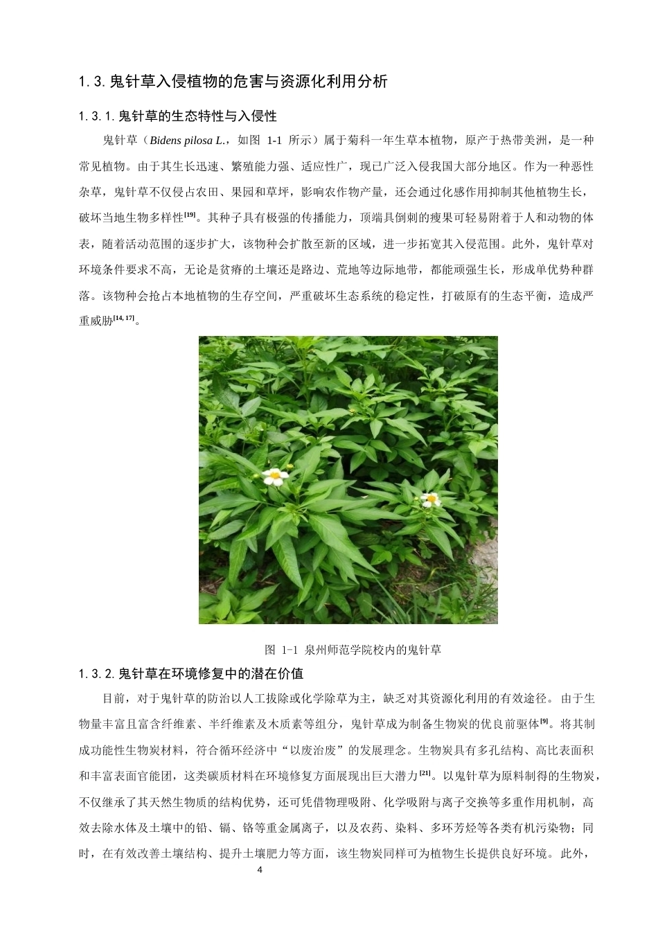 26年CH环境科学 关键词：鬼针草；生物炭；过硫酸钾；四环素；非均相催化(12353字).docx_第8页