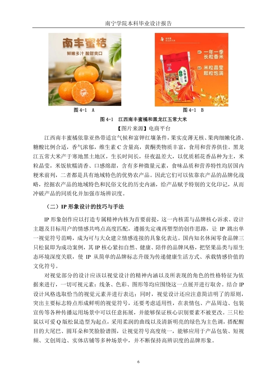 26年CH视觉传达 武鸣沃柑“沃家兄妹”IP形象设计-约12592字符.pdf_第9页