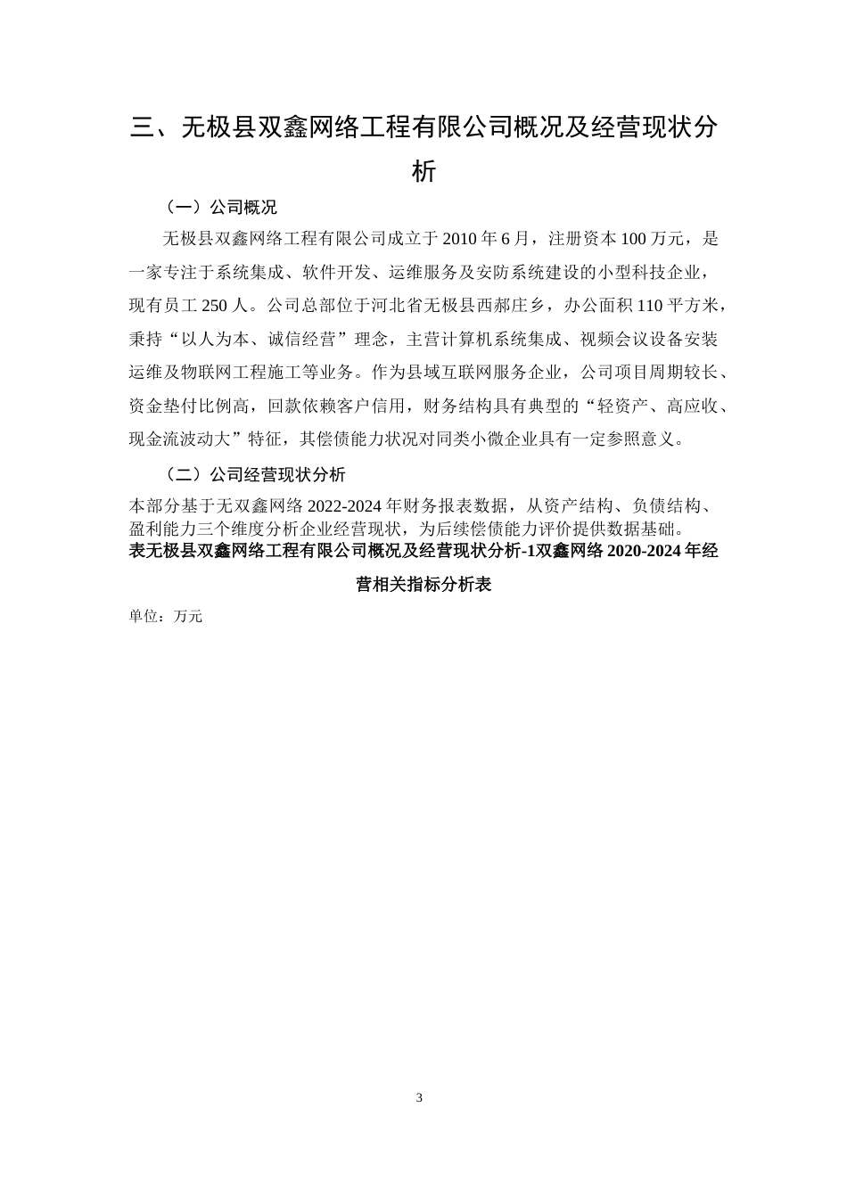 26年CH会计 无极县双鑫网络工程有限公司偿债能力分析(17510字).docx_第6页