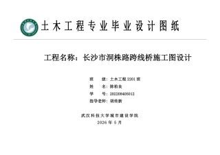 26年WP土木工程 长沙市洞株路跨线桥施工图设计20.79-AI20.41  附件图纸集.pdf
