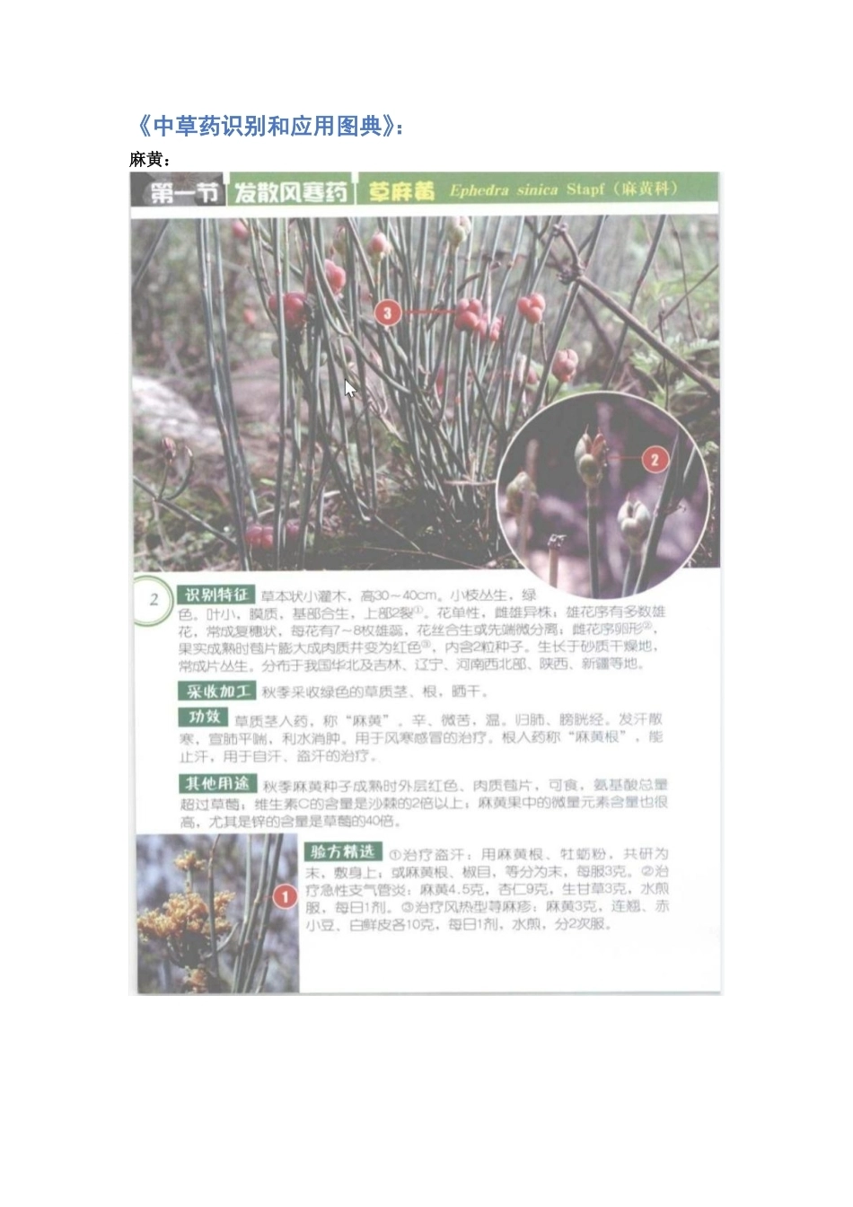 26年WP药学 药学生对中草药彩色图谱中药用植物认知效果的比较6.66-AI14.9_1 f附件.pdf_第1页
