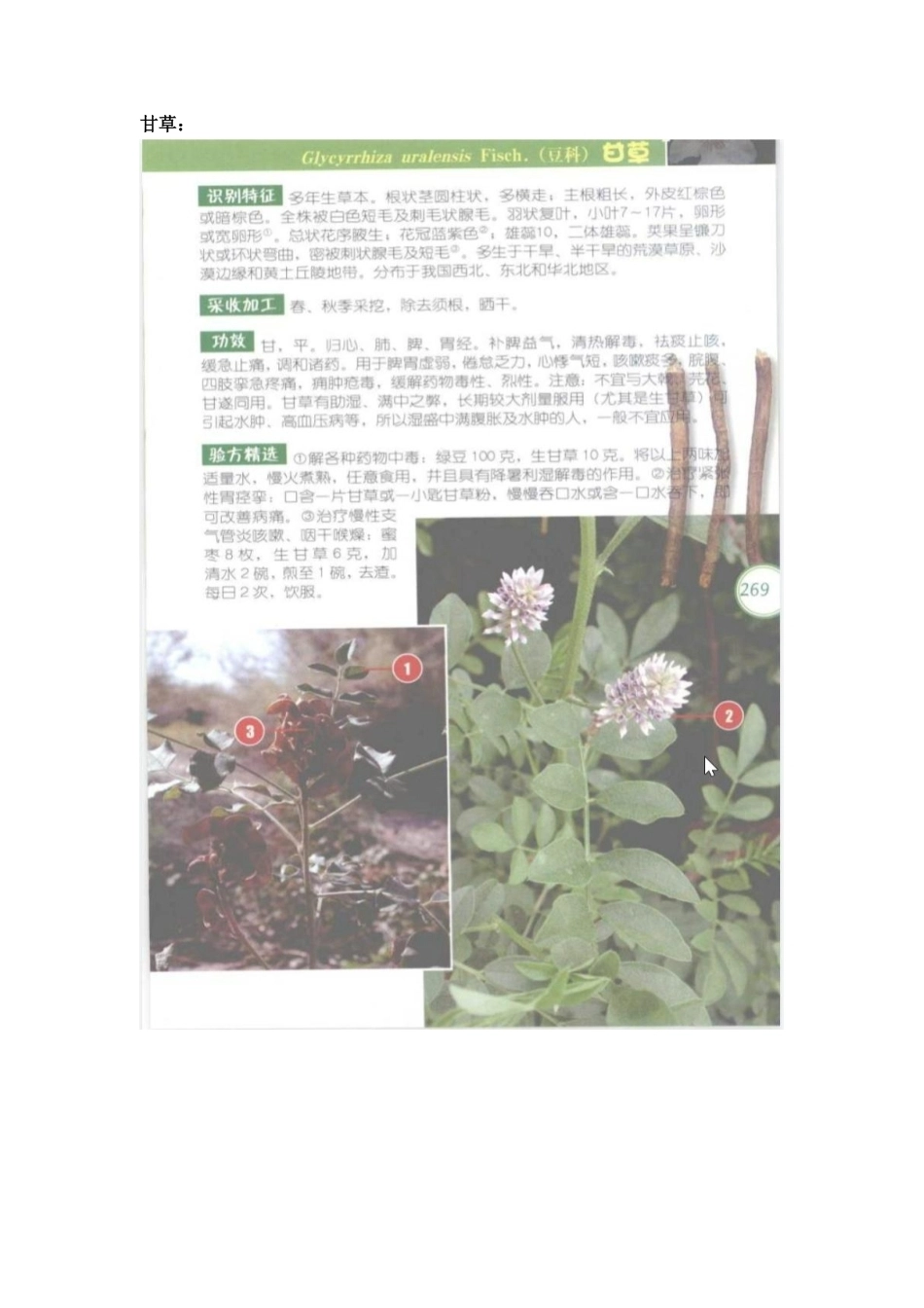 26年WP药学 药学生对中草药彩色图谱中药用植物认知效果的比较6.66-AI14.9_1 f附件.pdf_第2页