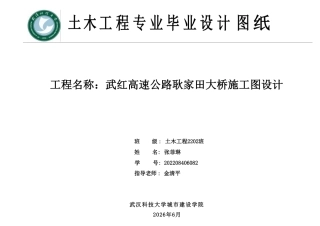 26年WP土木工程 武红高速公路耿家田大桥施工图设计15.29-AI  附件图纸集.pdf