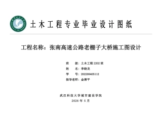 26年WP土木工程 张南高速公路老棚子大桥施工图设计26.4-AI 附件图纸集.pdf