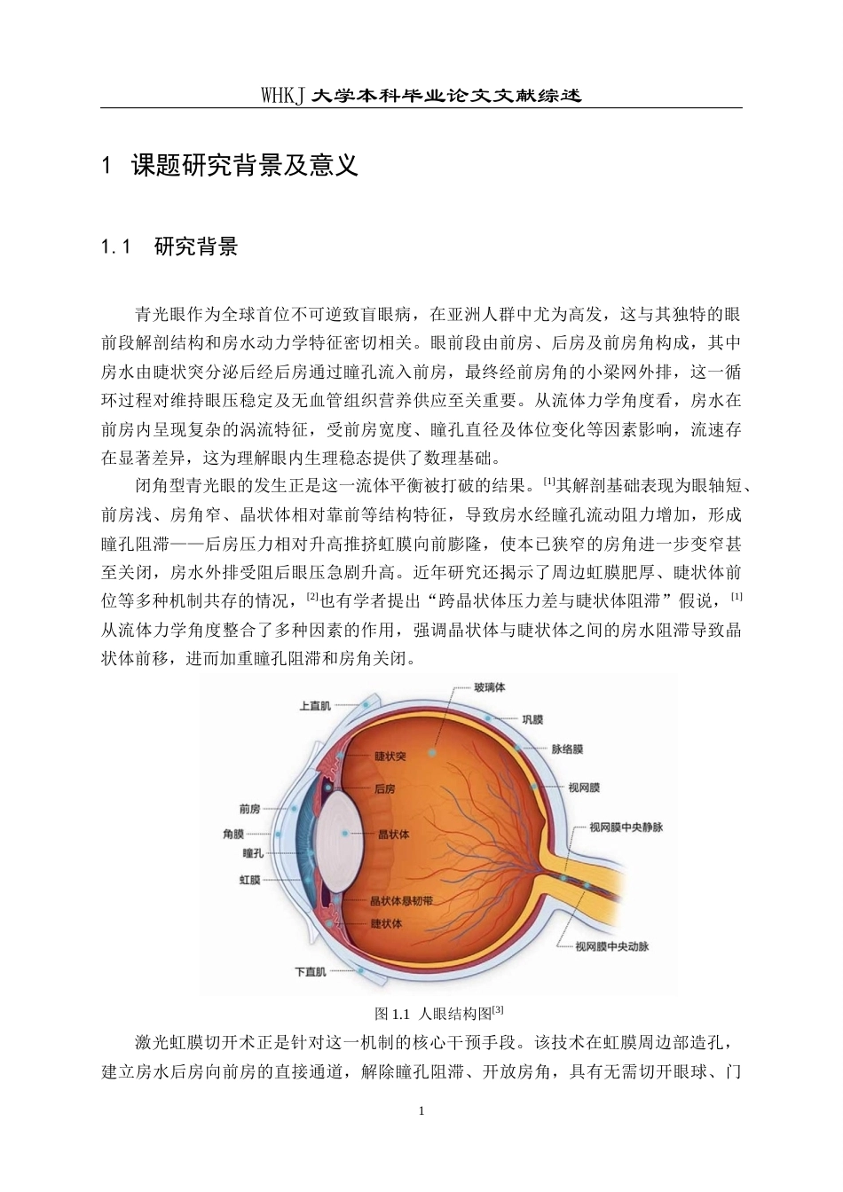 26年WP机械电子工程 激光虹膜切开术后眼前段流场特性的数值分析及其器官芯片模型研究2.24-AI1.95_附文献综述1(16475字).docx_第5页