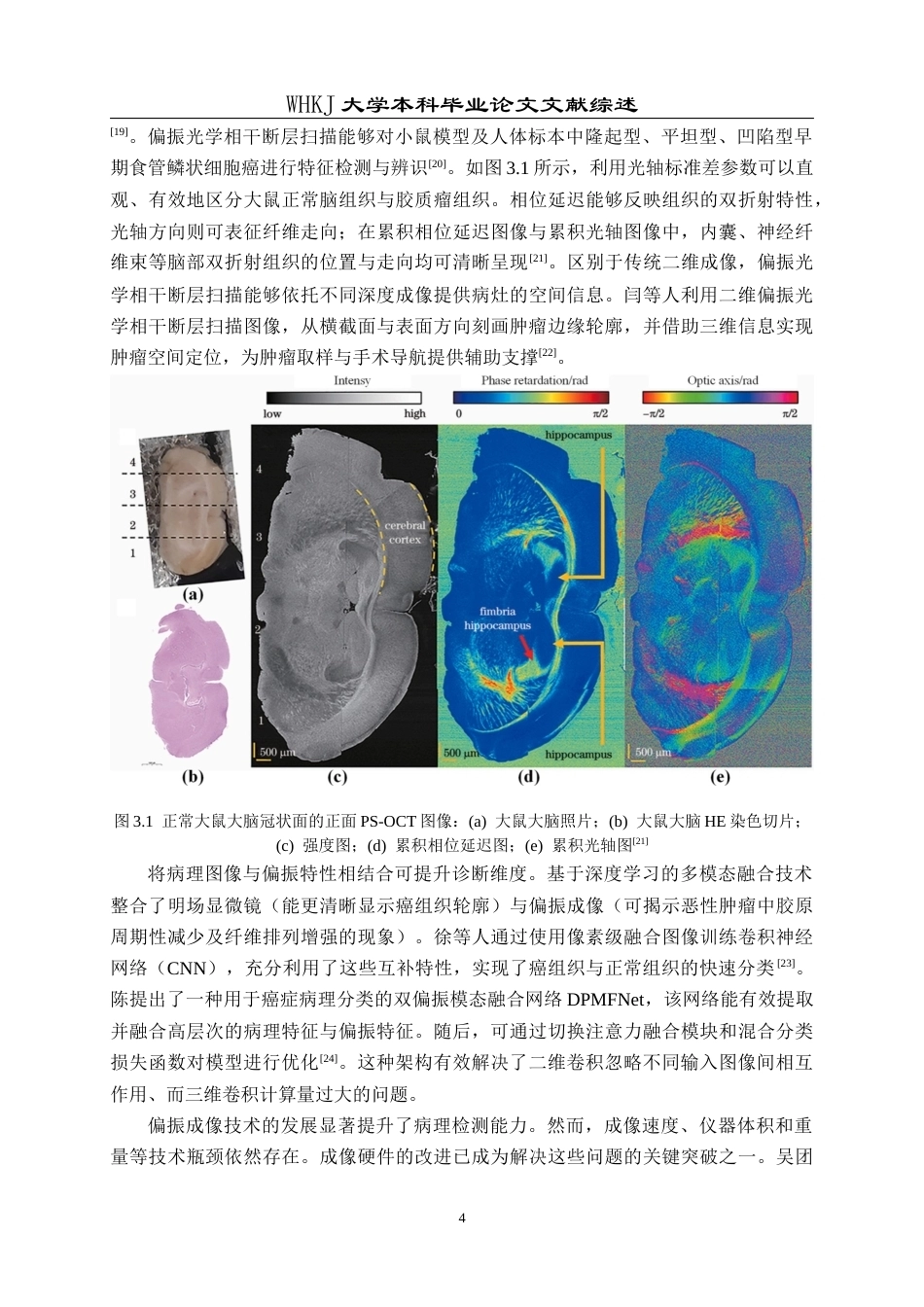 26年WP机械电子工程 可见光不同波长在高浊度水体中的散射与传输特性研究2.6-AI75.33_附文献综述1全日(22040字).docx_第7页