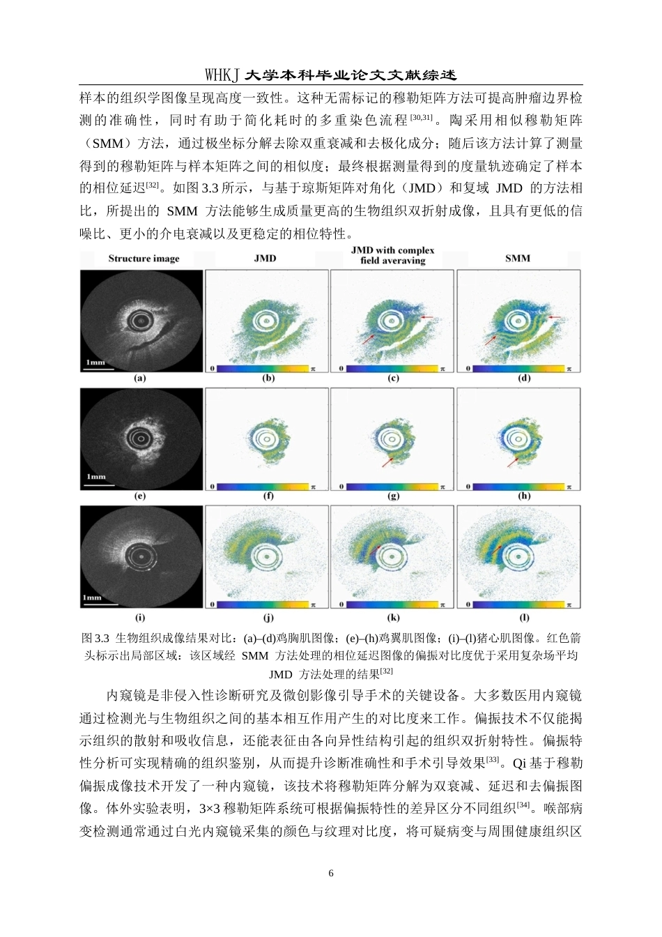 26年WP机械电子工程 可见光不同波长在高浊度水体中的散射与传输特性研究2.6-AI75.33_附文献综述1全日(22040字).docx_第9页